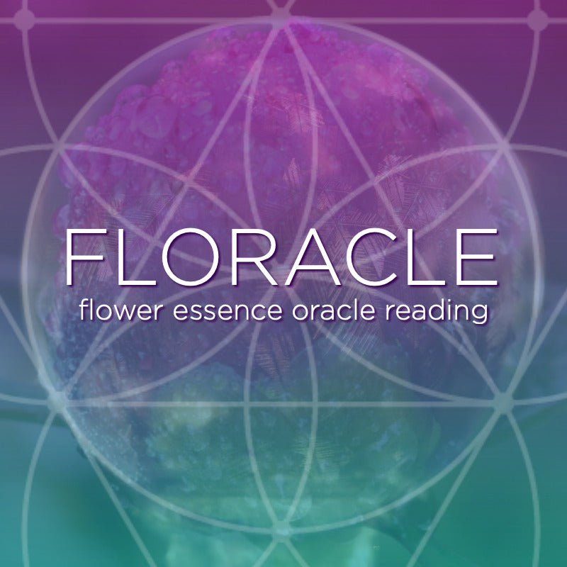 Floracle Flower Essence Oracle Reading