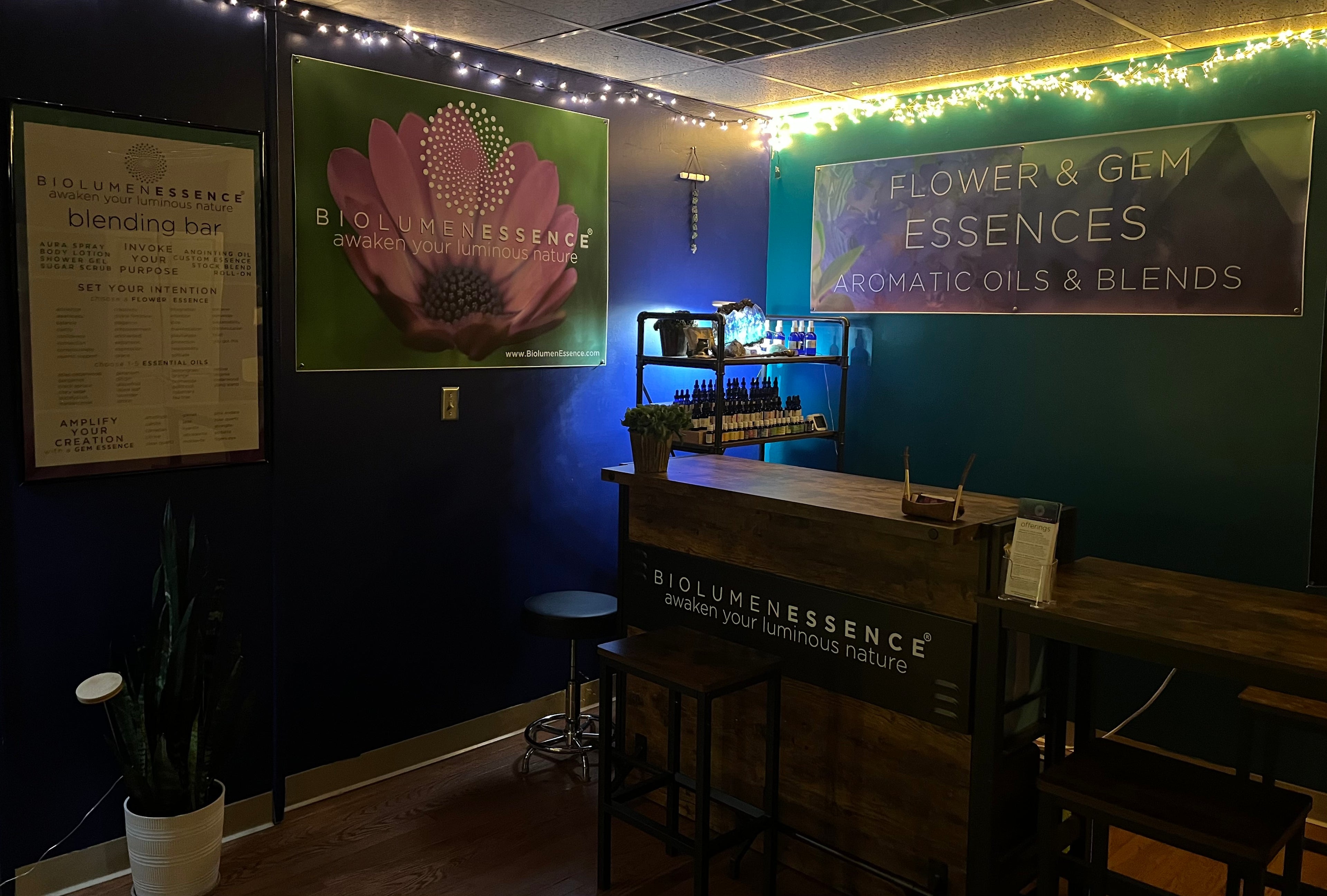 BiolumenEssence Aromatic & Botanical Blending Bar